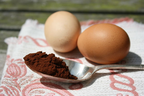 Eggs-and-Cocoa-Powder