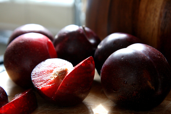 End-of-Summer-Plums4